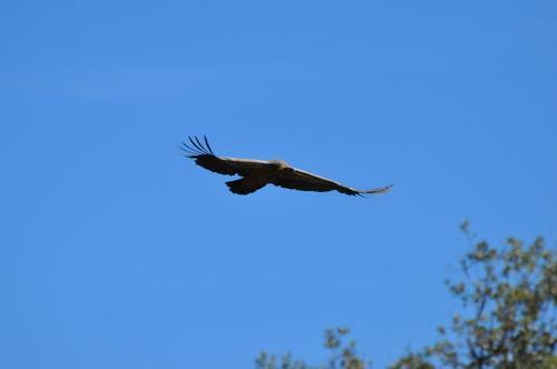 Agroturismo Finca La Ramallosa