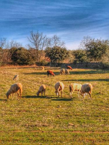 Agroturismo Finca La Ramallosa
