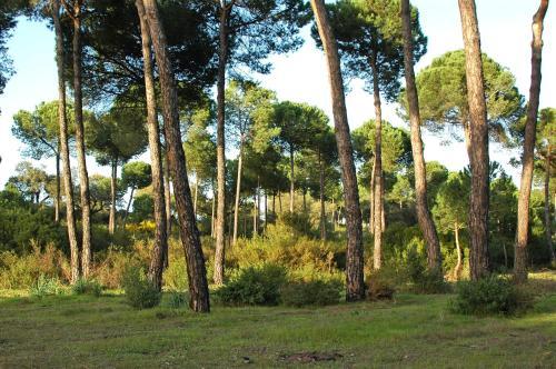 Agroturismo Alojamiento Tartessos