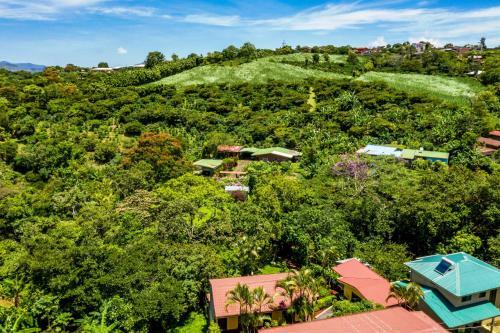 Bed & Breakfast La Terraza Guest House