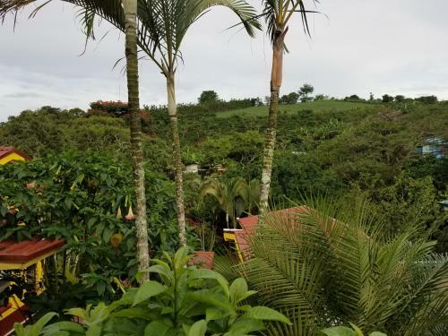 Bed & Breakfast La Terraza Guest House