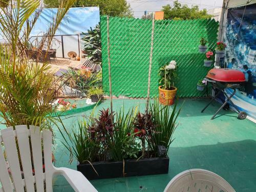 Hostal Estudio Espartaco