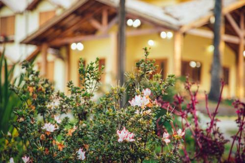 Hotel Guanxi