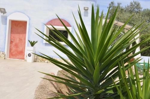 Hostal Country House Villa Di L'abbiu