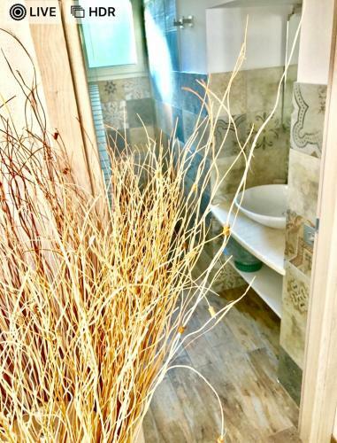 Hostal Country House Villa Di L'abbiu