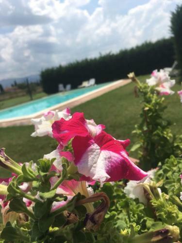 Agroturismo Le Ghiande