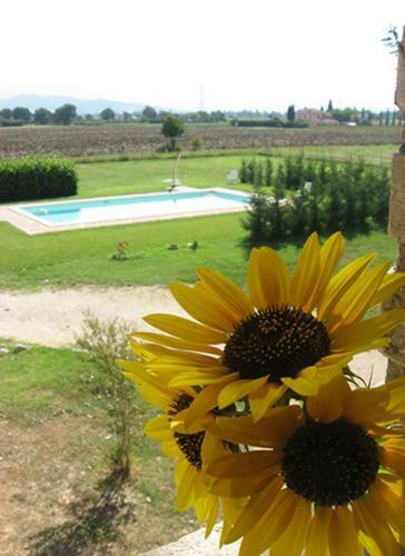 Agroturismo Le Ghiande