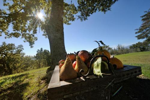 San Casciano Dei Bagni Villa Sleeps 8 Pool Wifi