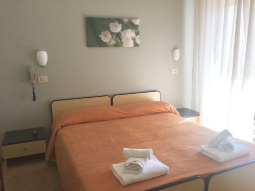 Hotel Ausonia
