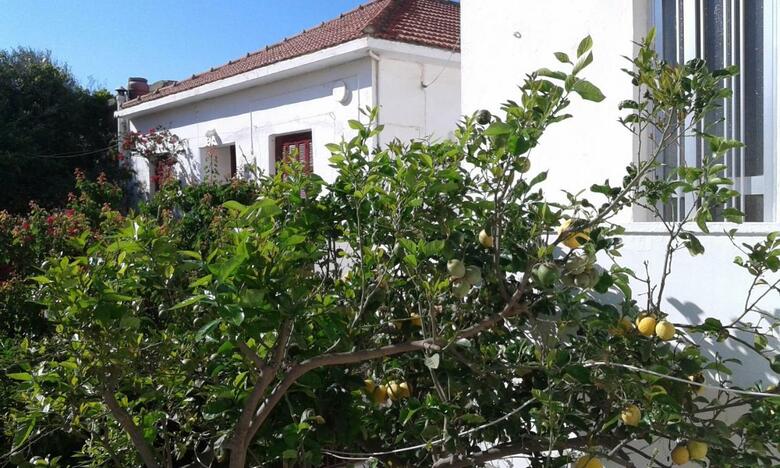 Holiday Home Froudaki 1
