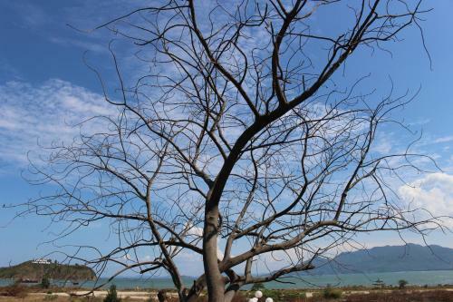 Hotel Homestay Quynh Anh