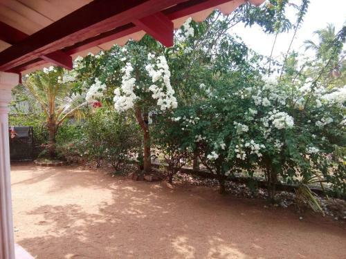 Lake House Homestay