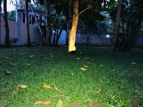 Hostal Pearl House Resort
