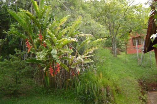 Posada Pousada Passaredo Montanha