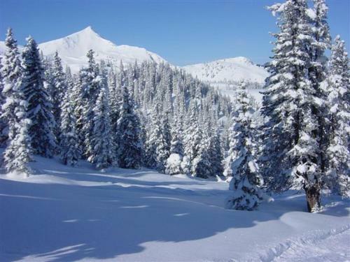Burnout Wildalps