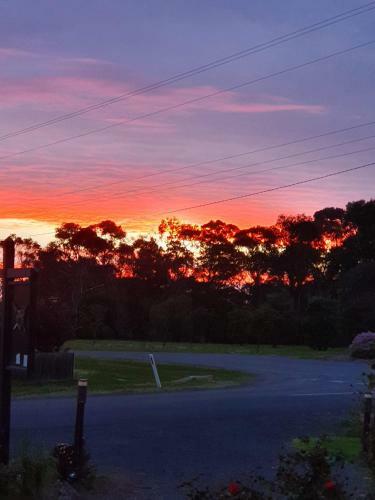 Motel Chateau Bass