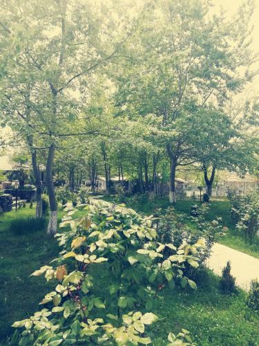 Villa Ruma Zeytun Hotel