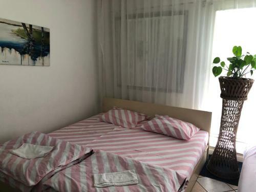 Apartamento Hanja