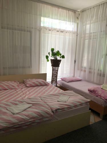 Apartamento Hanja