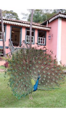 Hotel Fazenda Uni�o