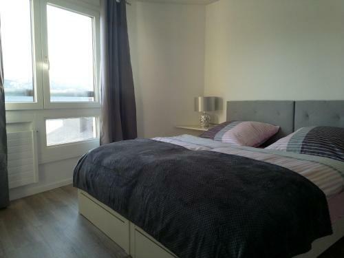 Swiss Seeblick Apartment Mit Hotelanbindung