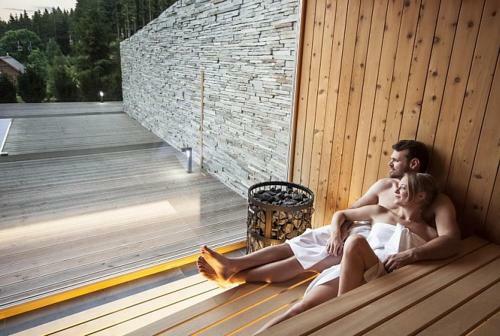Horsk� Hotel Kop?ivn�