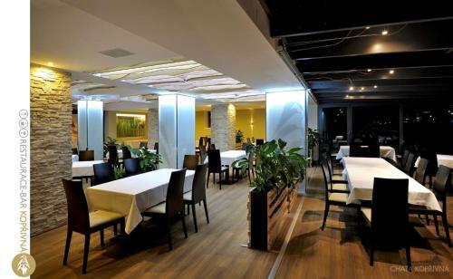 Horsk� Hotel Kop?ivn�