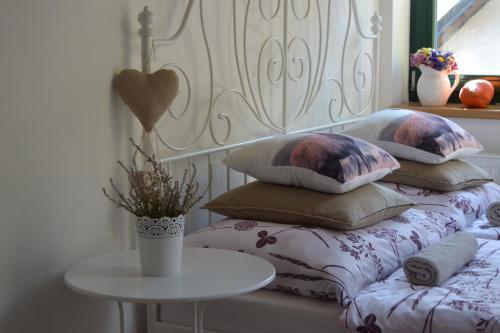 Hostal Penzion Zaje?� D?l