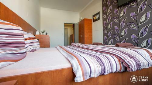 Hostal ?erny And?l