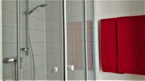 Bodensee Apartment Allensbach Fewo 1