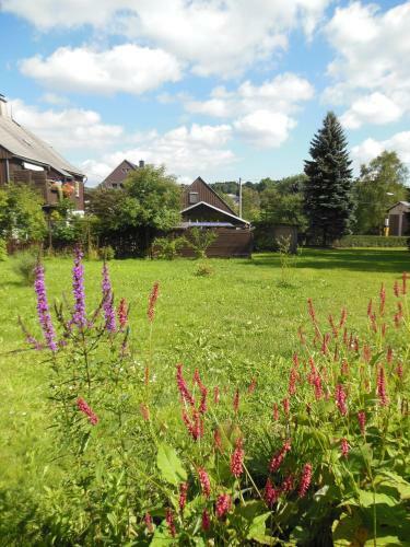 Apartamento Haus Niemann Ferienwohnungen