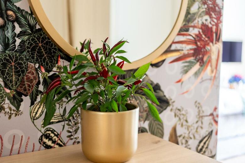 Lodge Schlossresidenz Business Apartments