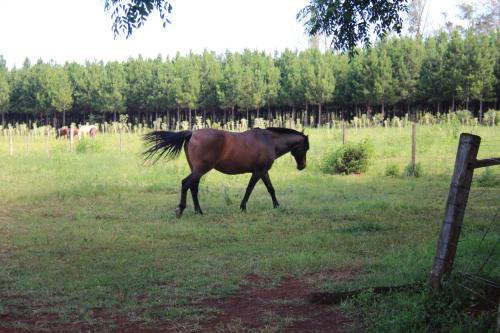 Agroturismo Pousada Do S�tio Preserva