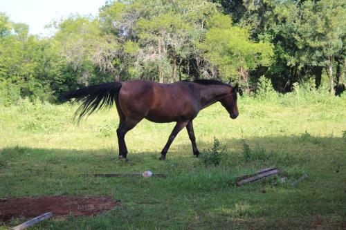 Agroturismo Pousada Do S�tio Preserva