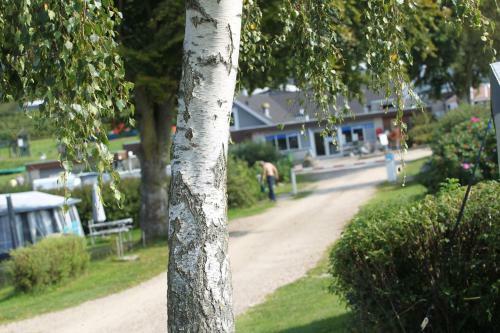 Hjarb�k Fjord Camping & Cottages