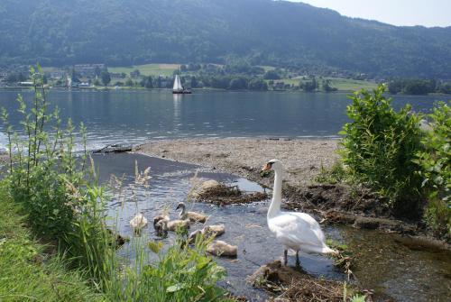 Hostal Familienpension Rasch