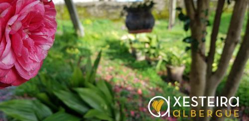 Albergue A Xesteira