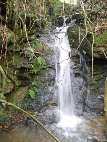 Lodge Chal�s Serrinha Do Papagaio