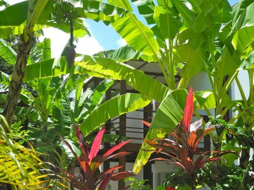 Villa La R�serve Maison