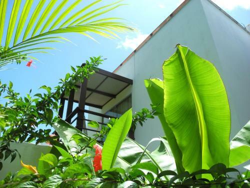 Villa La R�serve Maison