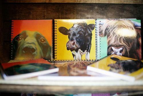 Hostal Bank Ground Farm