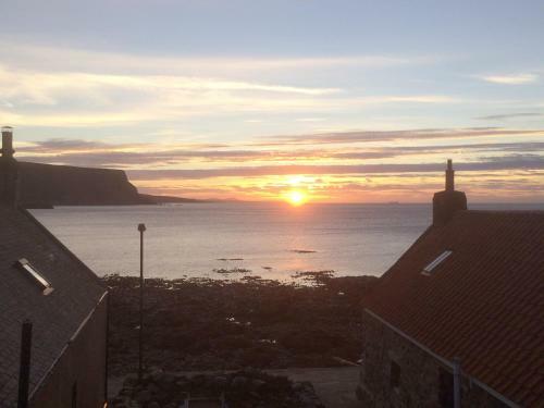 40 Crovie