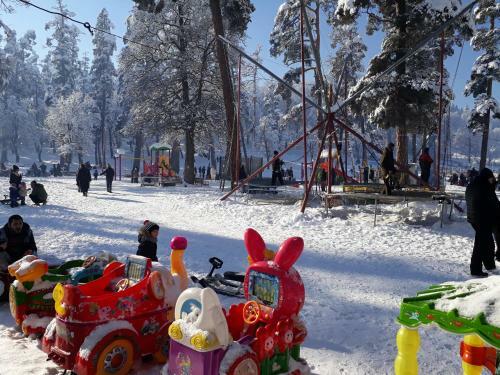 Apartment 135 In Bakuriani Residence