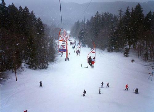 Apartment 135 In Bakuriani Residence