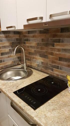 Cozy Apartment Near Gondola Loft1