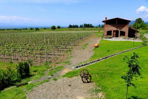 Barnavelli Hotel And Wine Cellar