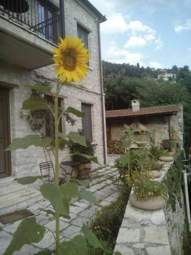 Hostal To Archontiko Tis Marias