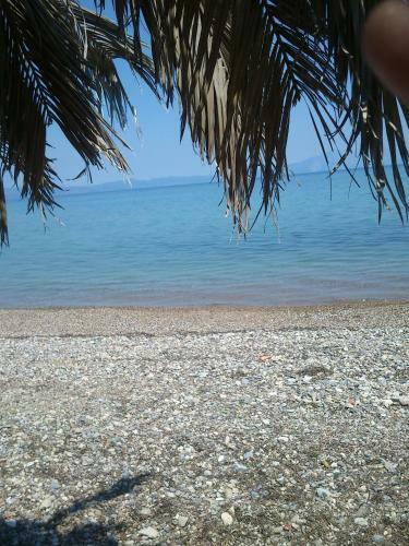 Hostal Evoikos Beach & Resort