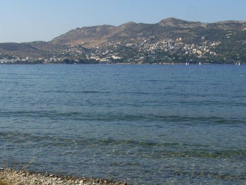 Sea Sight Boutique Hotel