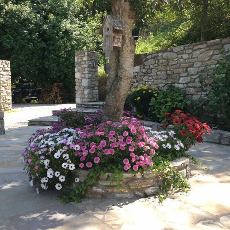 Hostal Mountain's Secret